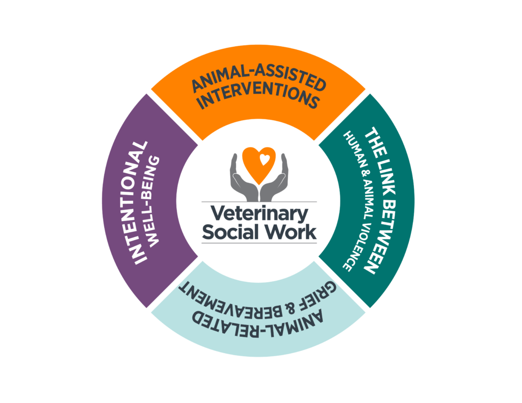 Veterinary Social Work logo in the middle of orange Animal-Assisted Interventions, green The Link Between Human & Animal Violence, turquoise Animal-Related Grief & Bereavement and purple Intentional Well-Being.