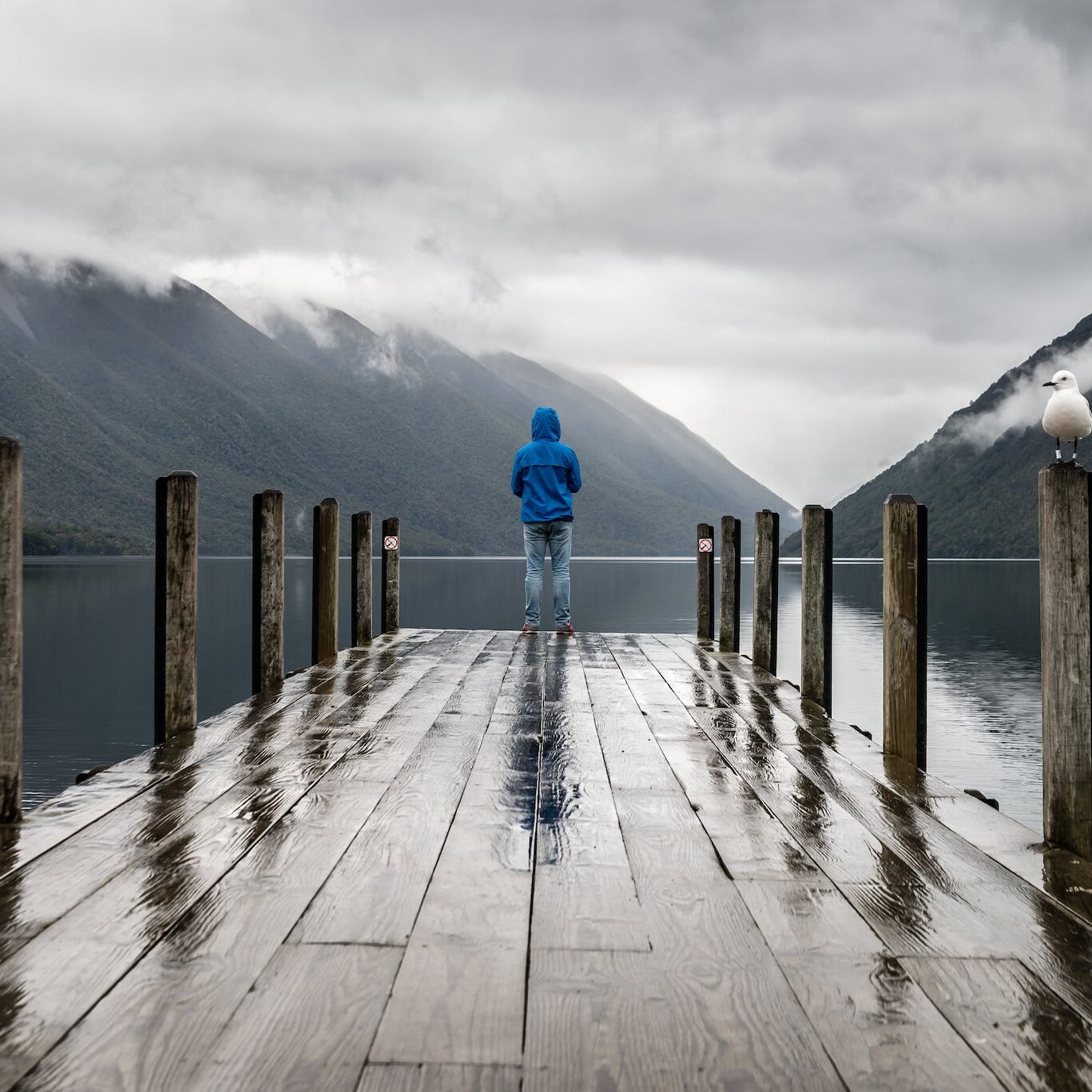 Person in blue jacket on a wet dock looking towards mountains on a cloudy day. 
