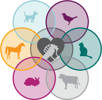 The logo of Veterinary Social Work Services. Shows 7 circles in a circle, Purple circle and bird, green circle and cat, gray circle and cow, pink circle and rabbit, yellow circle and horse, turquoise circle and dog and in the middle there is an hand hold in a heart.