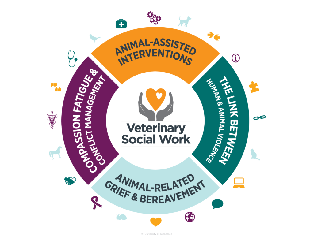 Animal-Assisted Interventions, The link between human and animal violence, Animal-related grief & bereavement and Compassion fatigue & conflict management