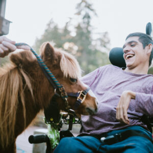 Brown mini pony visiting boy in wheelchair.